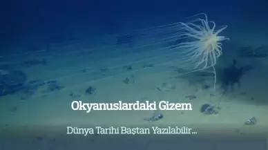 Derin okyanustaki 'karanlık oksijen' bulgusu Dünya'nın tarihini yeniden yazabilir
